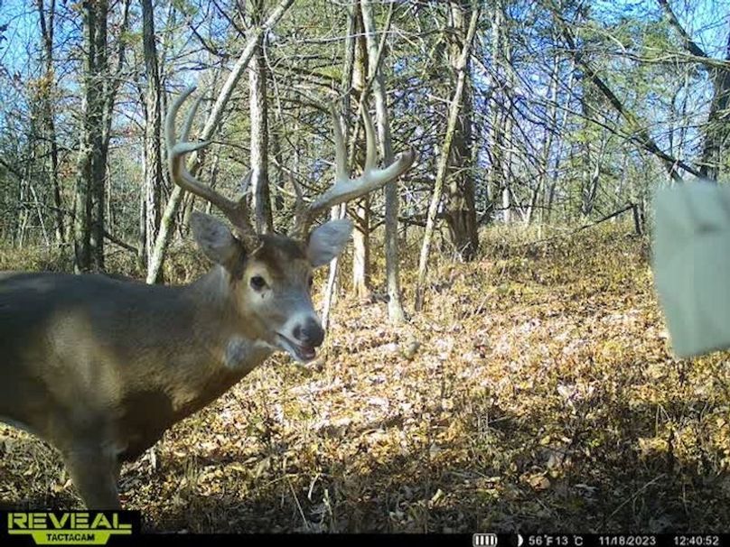 4d5e9934-be0b-4157-97c7-ebaf07f62402