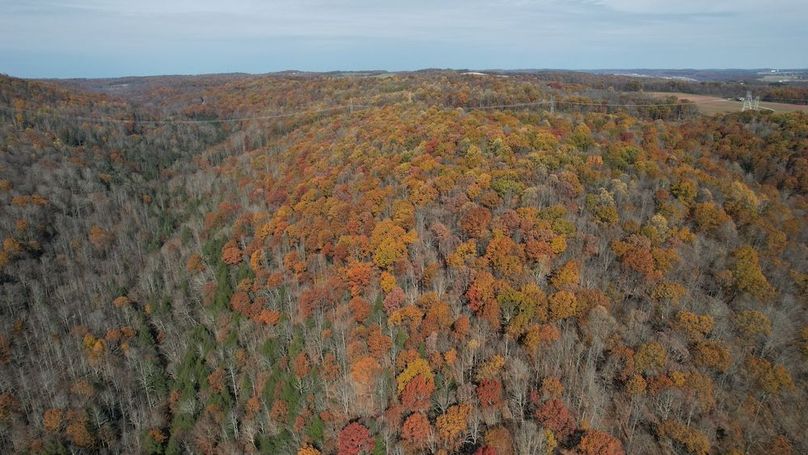 dji_fly_20251105_120208_883_1762380964890_photo