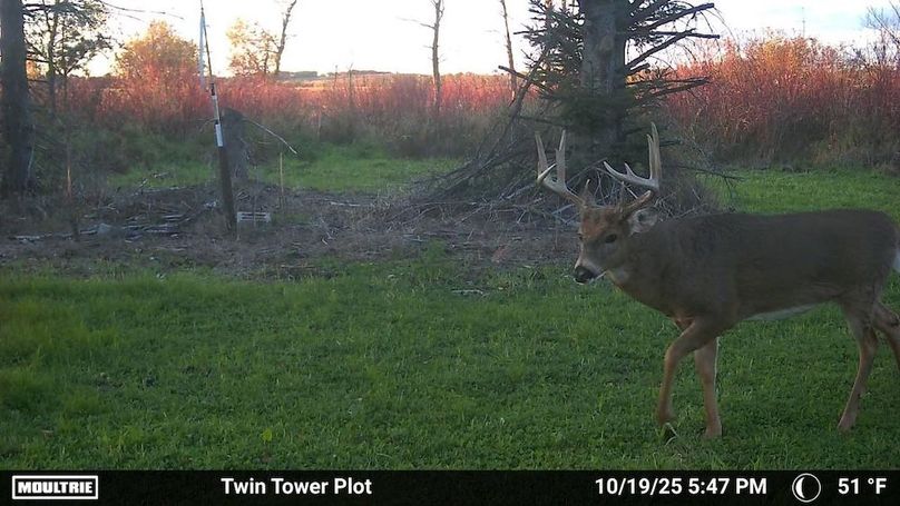 Temp_731813-20251019224750-100MFCAM_MFDC3613