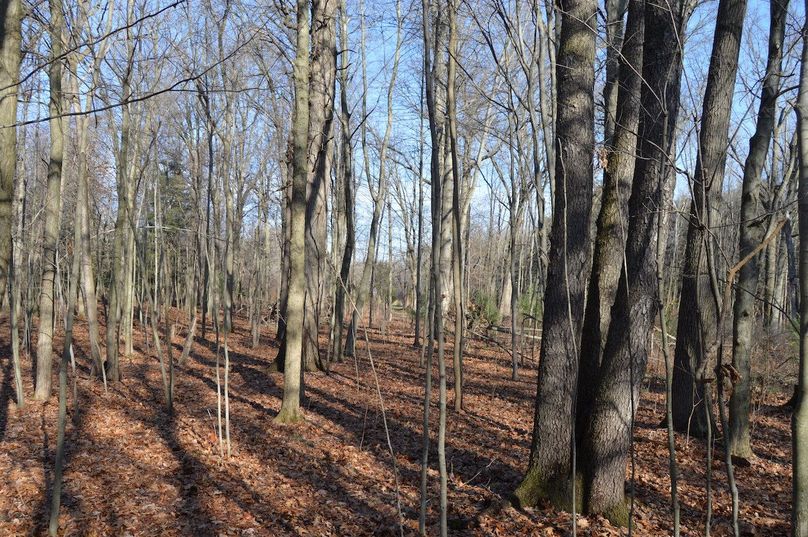 south edge _ooking north