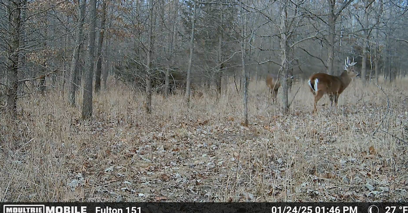 Screen Shot 2025-07-16 at 12.50.51 AM