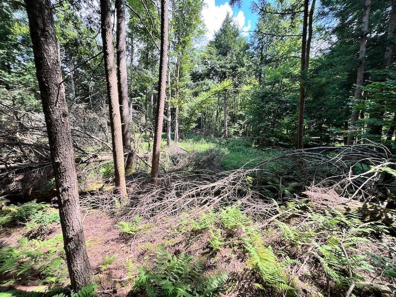 Oswego_133.72_Middleton_Photos_58