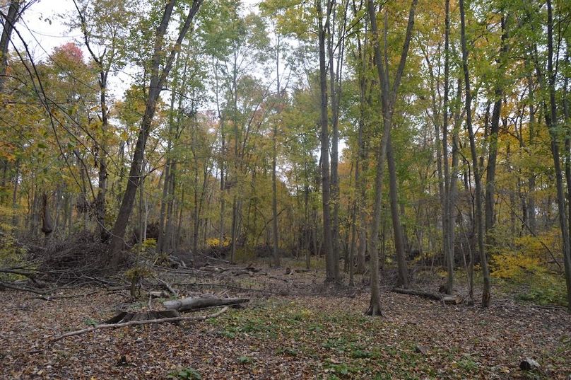 little clearing in sw corner