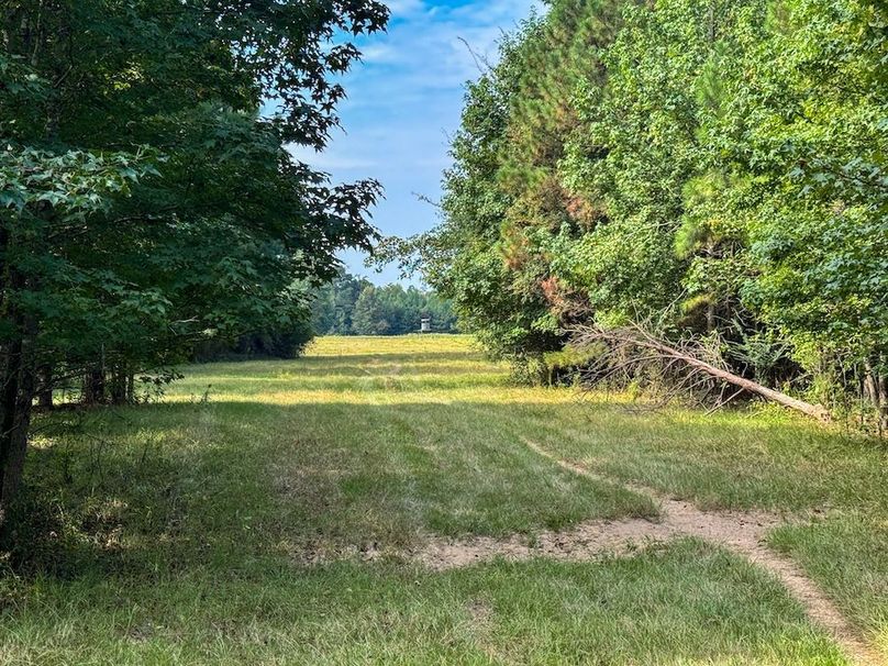 15 Jefferson 117ac - bethard-32