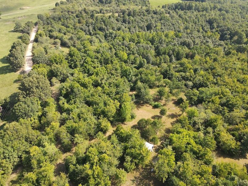 dji_fly_20240808_095538_309_1723128949955_photo