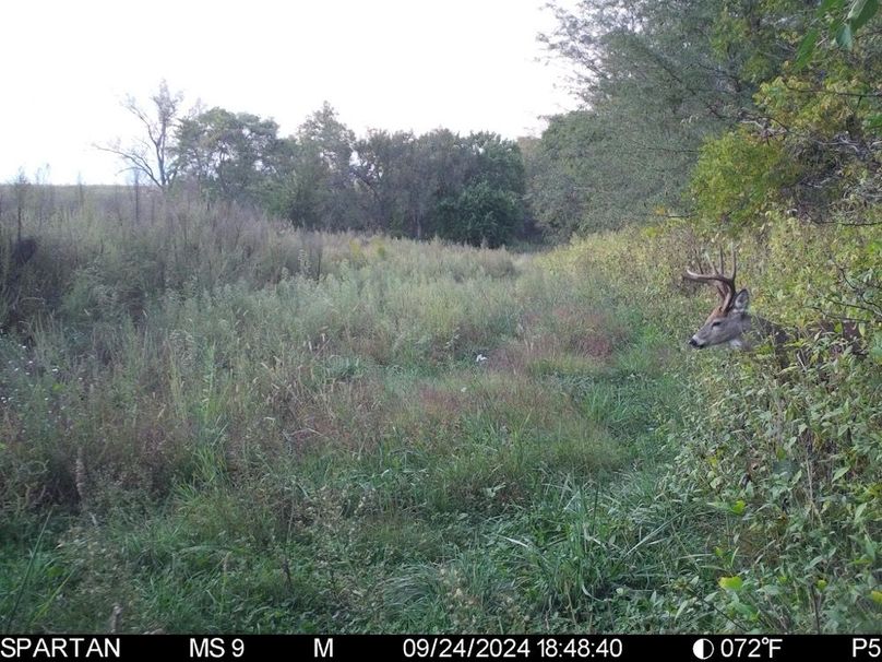 File Oct 07 2024, 3 58 06 PM