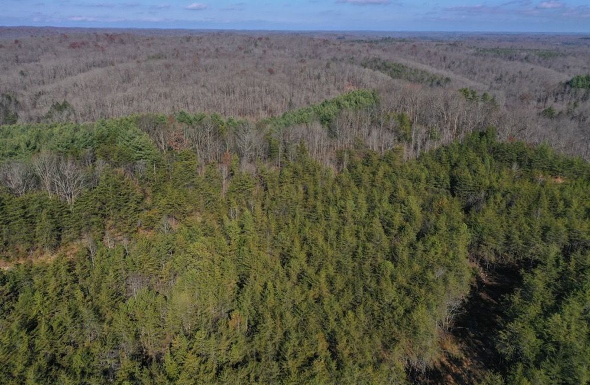 001 aerial drone view from the southwest corner looking over the property into the National Forest