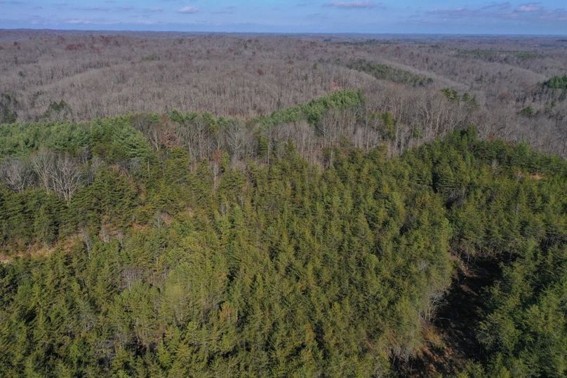 001 aerial drone view from the southwest corner looking over the property into the National Forest