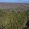001 aerial drone view from the southwest corner looking over the property into the National Forest