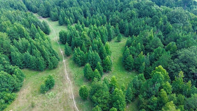 20 Jefferson 117ac - bethard-55