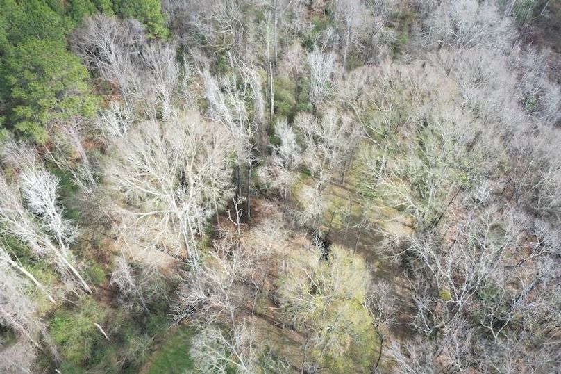DJI_0165