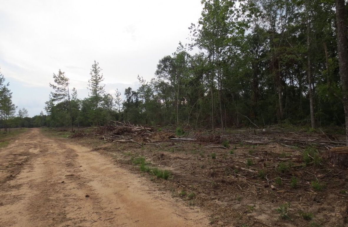 22B9EB9E-F8C2-4A99-9E29-2C776013E8B9_1_105_c