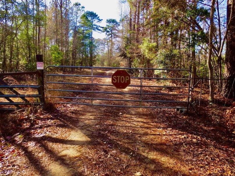 32950113-81B9-4A9F-AFC8-576ED7C59E02_1_105_c