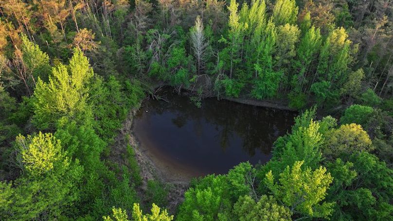 Tallahatchie 44 Newman (Crowden) Wide-5