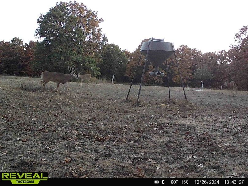 865814048168262-100-2-10262024184326-HD-W1008708