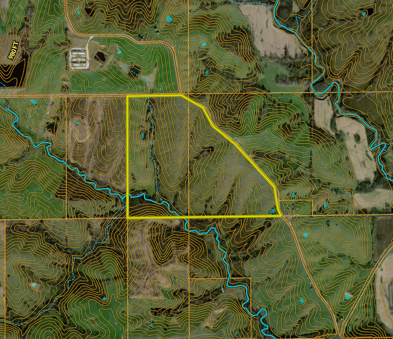 Screenshot 2026-03-11 at 11.23.34 AM