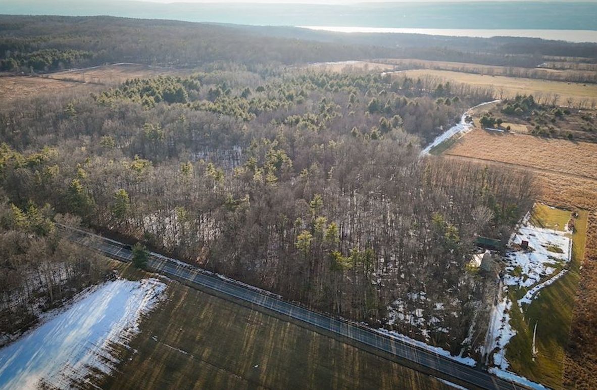 Seneca_43_Hohwald_Photos_2