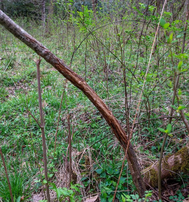 DSC_4919-Edit