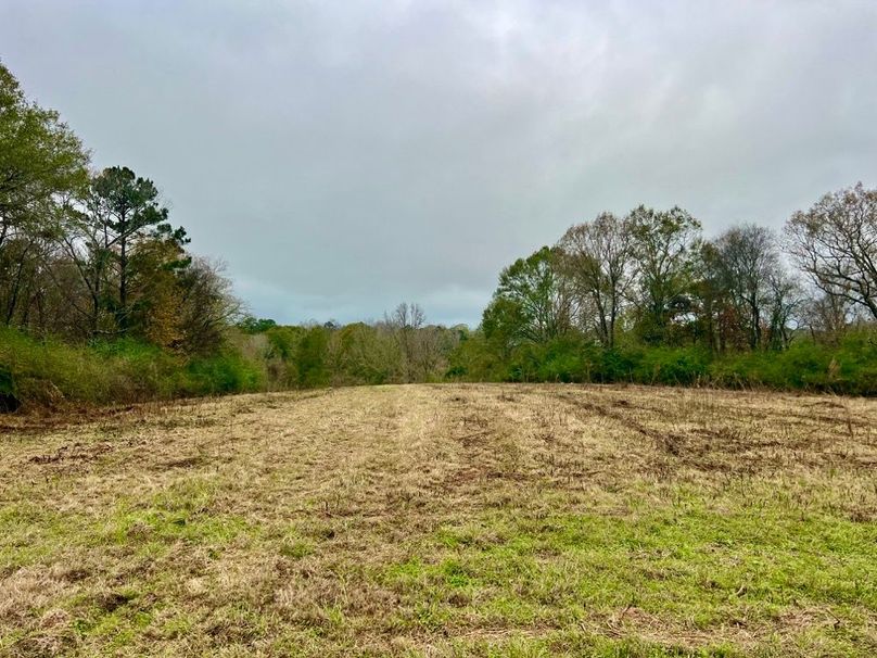 38E3739A-327A-426C-94F2-4DEF64392F0C_1_201_a