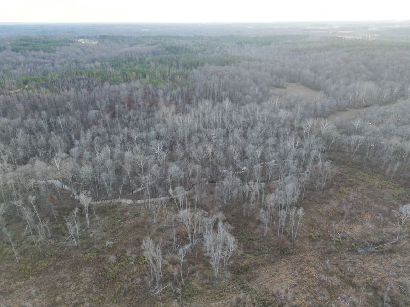 dji_fly_20231130_052416_265_1701905204607_photo