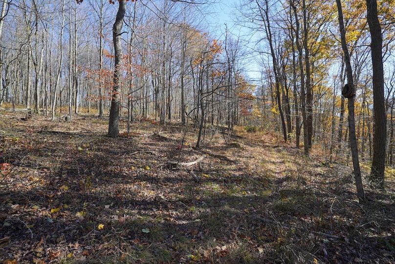 Somerset, 10.91, Tinkey-16