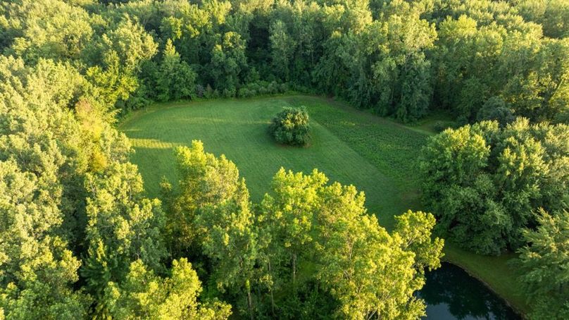 LivingstonMI41.75-137