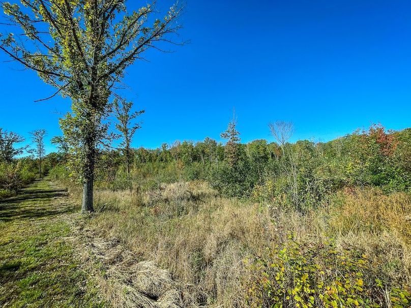 Wood 41.451, Collins -23