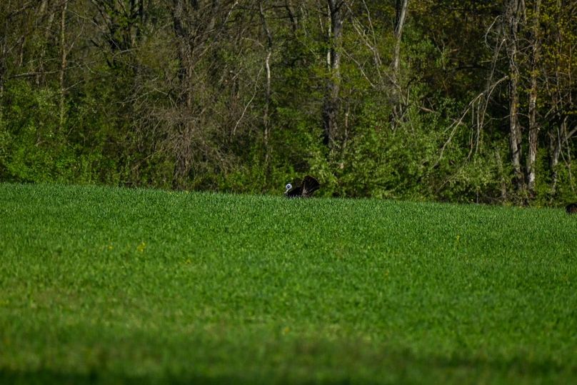 vandalia 450 (2)-2497