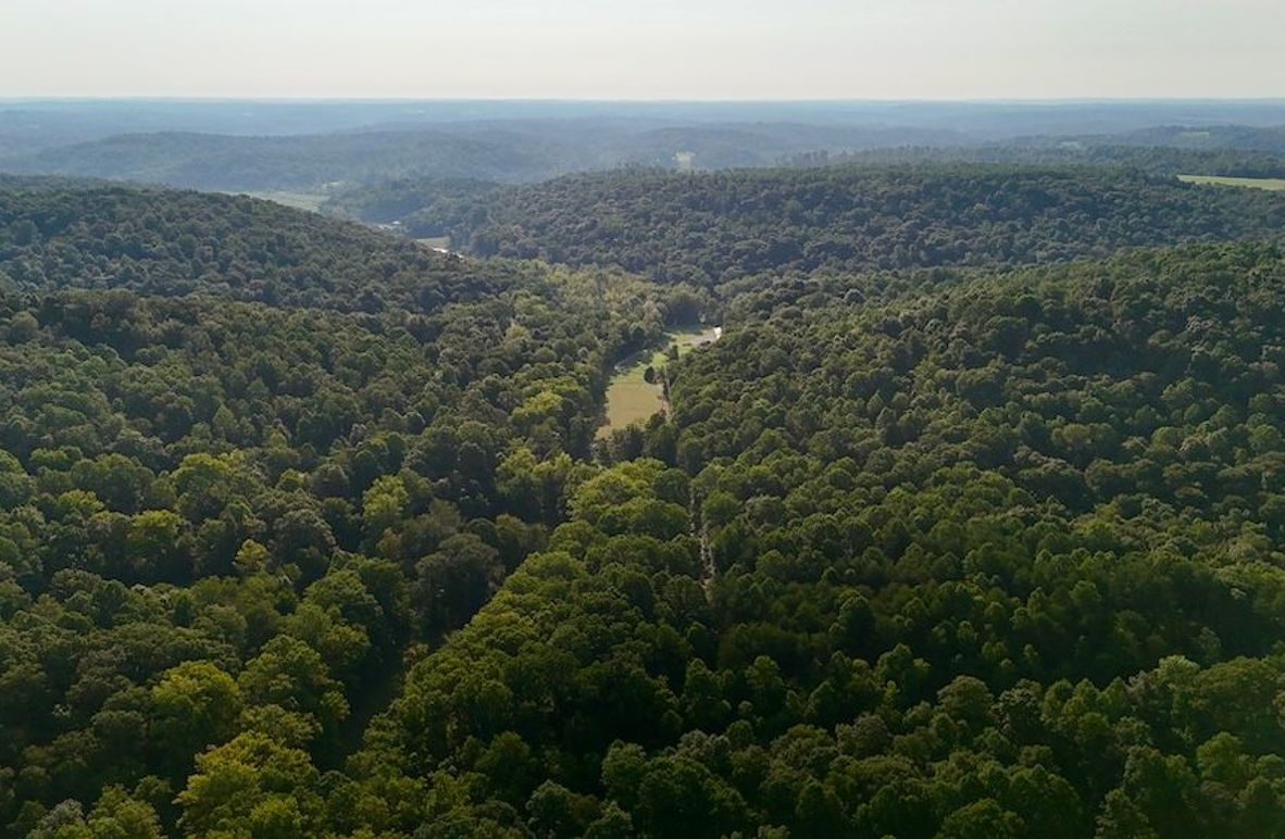 dji_fly_20250819_093124_0579_1755617547668_photo