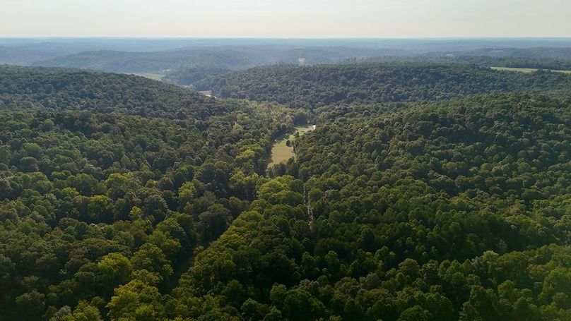 dji_fly_20250819_093124_0579_1755617547668_photo