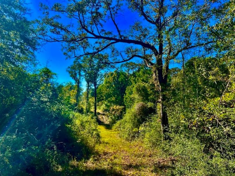 ED08678D-6518-41E4-B4FE-CCF1CF1E6C2A_1_105_c