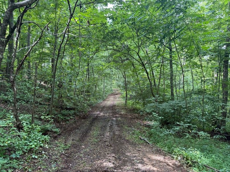 027 trail system along the east area of the property