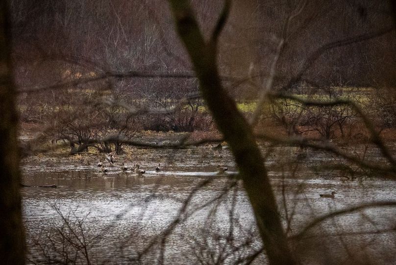 St Clair IL 263.95 Featured_Pro Photo-76