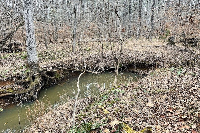 16 Creek