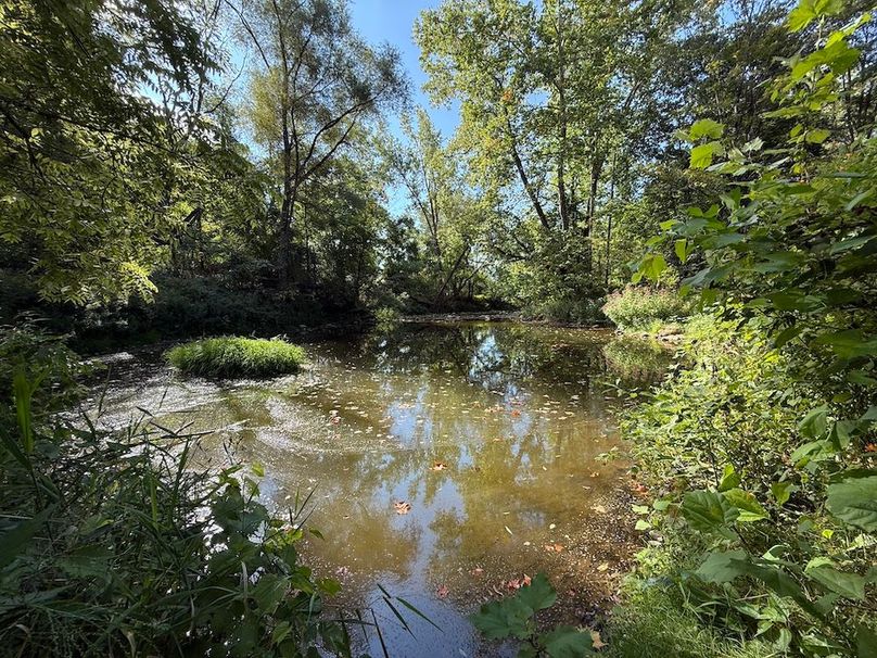 Cayuga_5.7_Cotten Photo 10