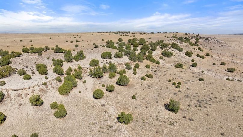 DJI_20251015123951_0123_D