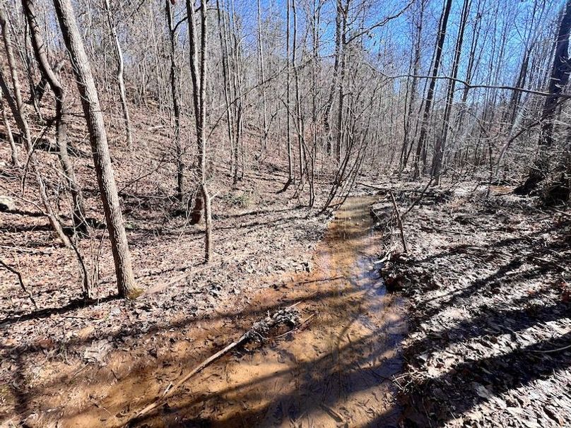 Copy of Photo 2024-01-31 08.49.03 PM