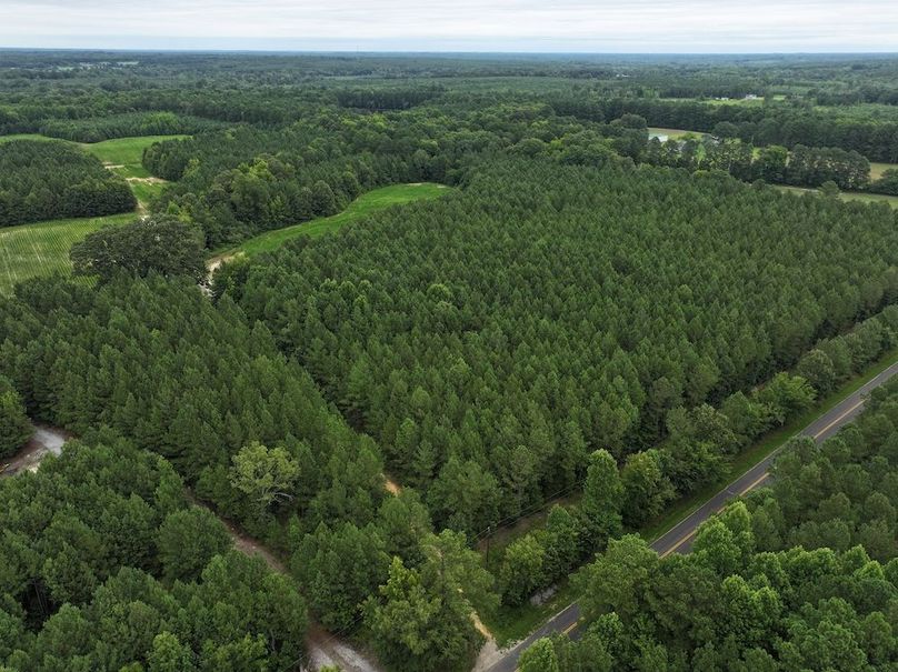 DJI_20240712131248_0039_D