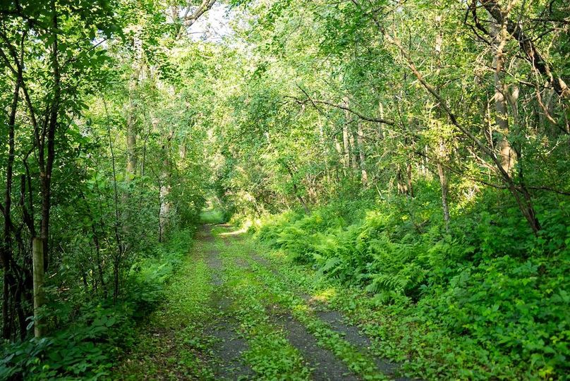 Fillmore 48.25 New Updates-41