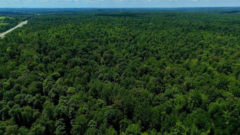 Sequence 10.00_13_06_17.Still036