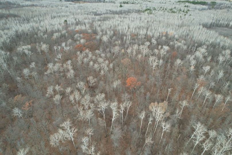 dji_fly_20251104_160820_4_1762294534819_photo