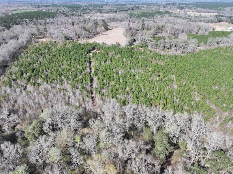 dji_fly_20260302_130912_0353_1772559696386_photo