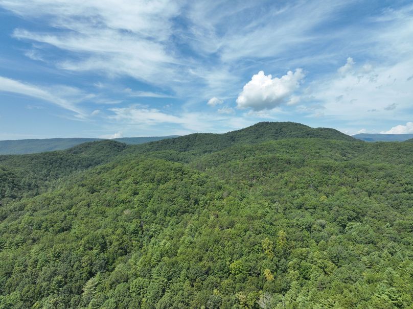 11_13.39_Alleghany_VA