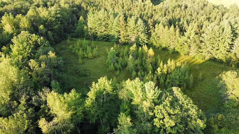 dji_fly_20240811_190828_738_1723421326868_photo_optimized