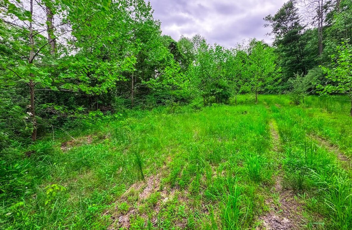 Tyler, WV 313.87 AC -02