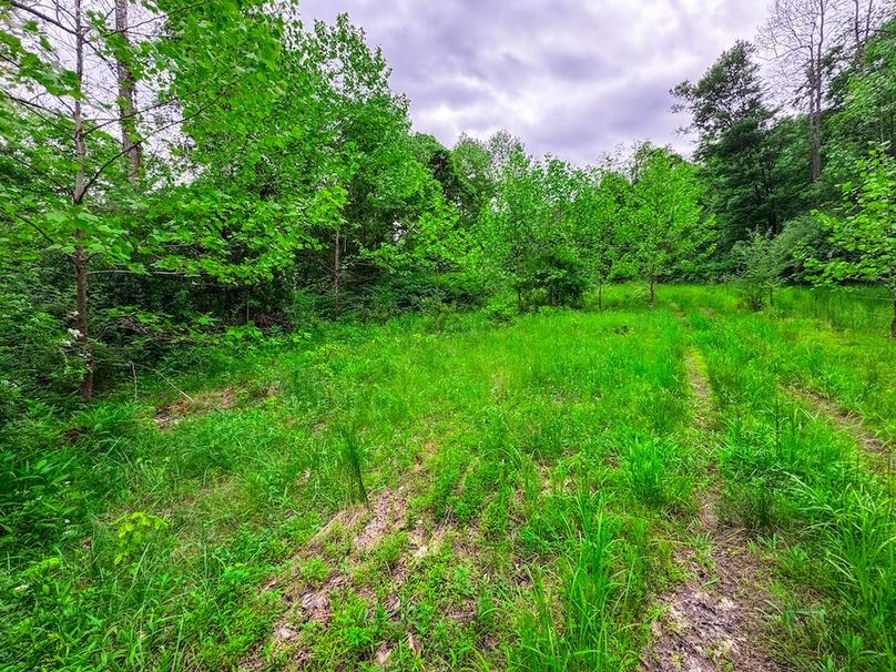Tyler, WV 313.87 AC -02