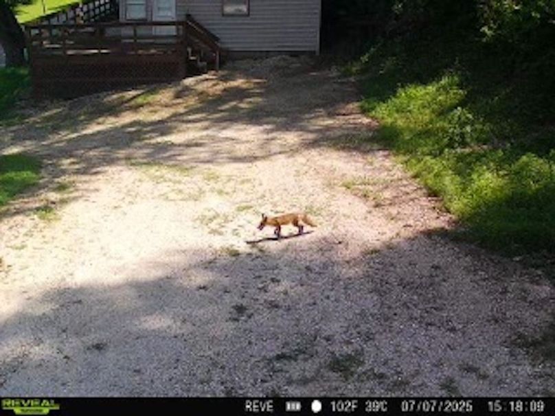 7C50454B-FD03-44BF-99B5-A8D6D3295398_4_5005_c