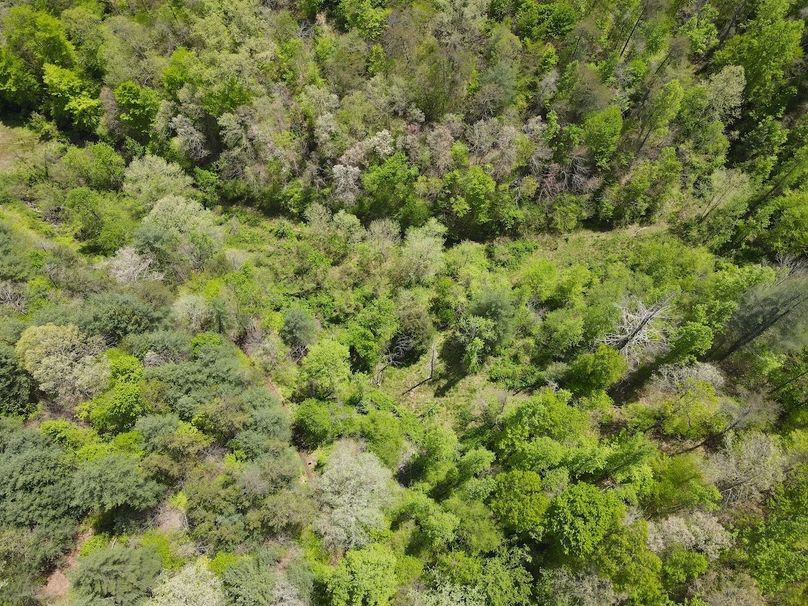019 birds eye view looking down on the valley split