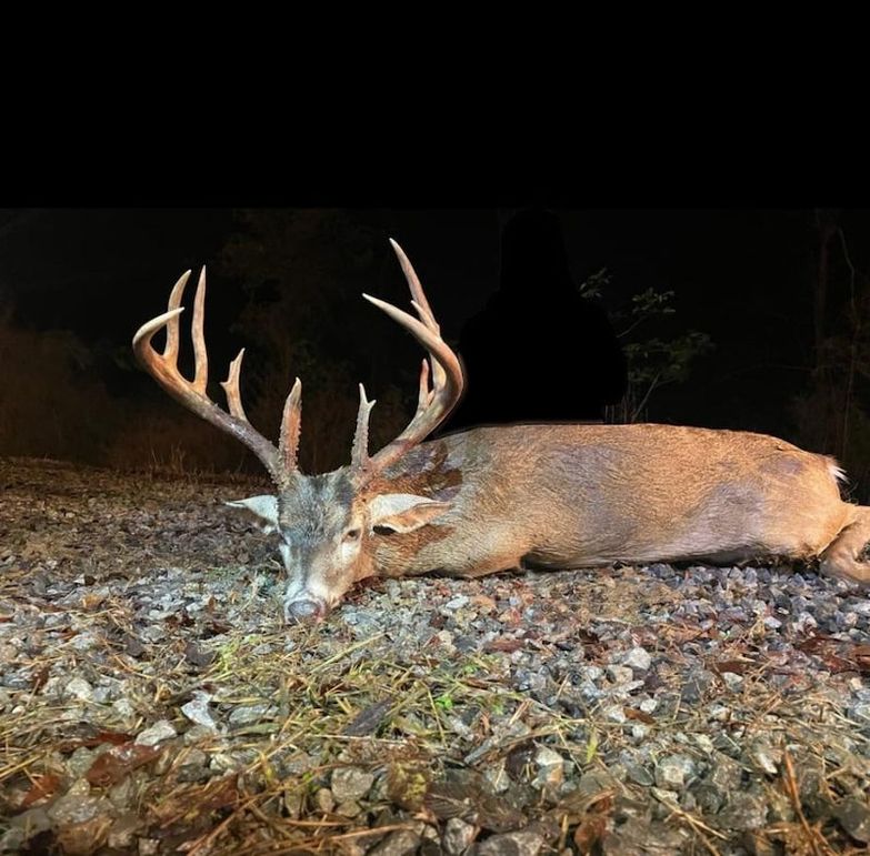 Claiborne Co-314-Fernandez-13