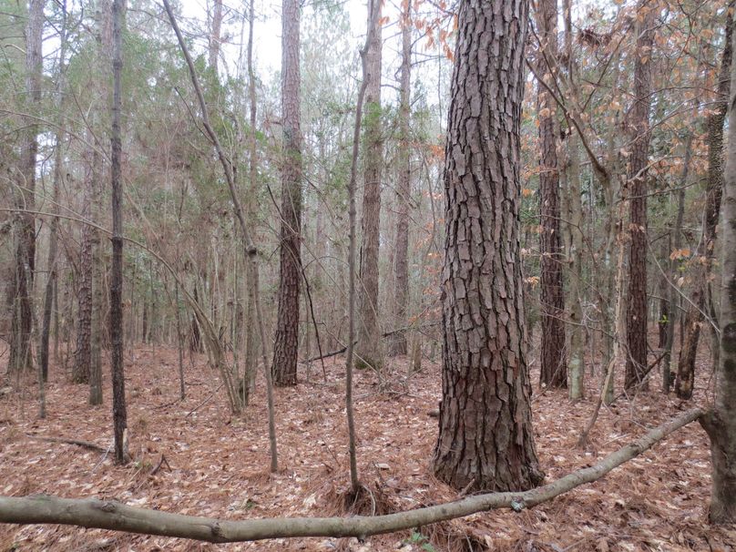 BE57F620-4F7F-481D-92FA-10FCB06051F0